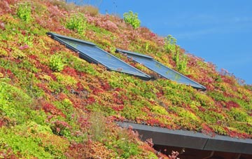Birchill living roof systems